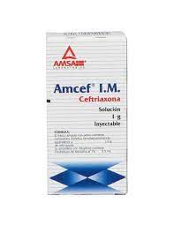 CEFTRIAXONA IM1G SI AMCEF LGEN