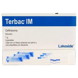 TERBAC IM 1 G SOL INY FA TRIPACK
