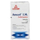 CEFTRIAXONA IM1G SI AMCEF   LGEN