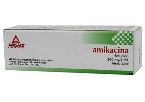 AMIKACINA IM 500MG AMP1X2   LGEN