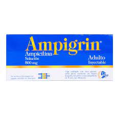 AMPIGRI 500MG FA ADUL 3X3ML LGEN